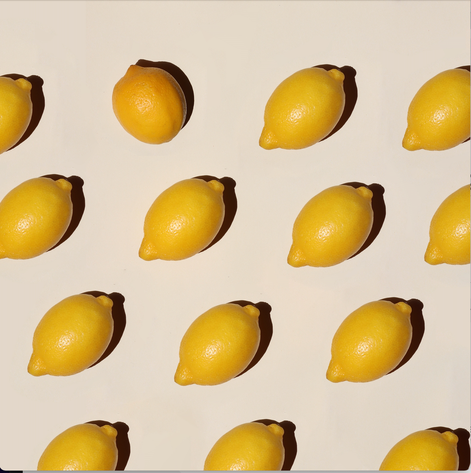 Zitronen liegend gleichmäßig nebeneinander angeordnet