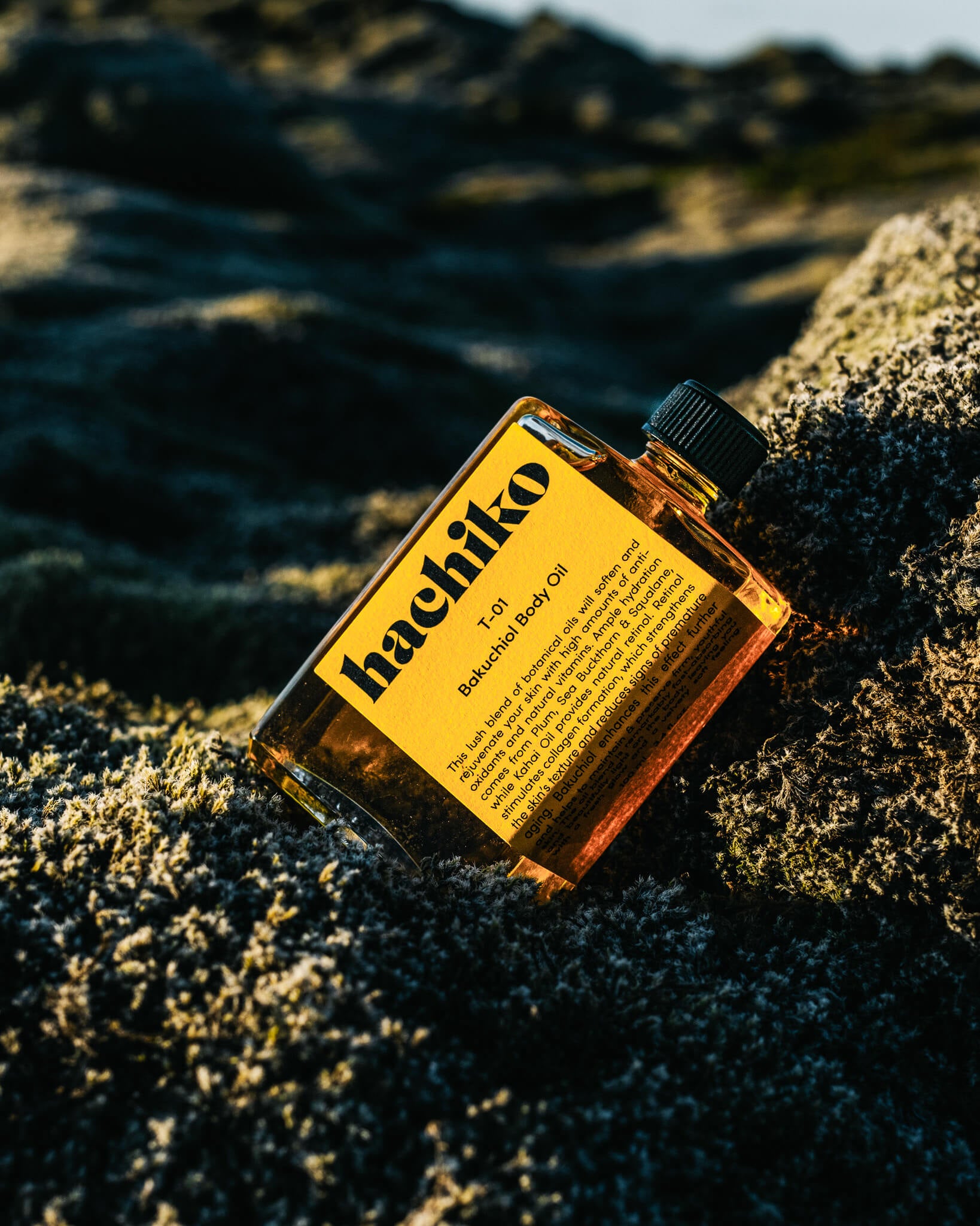hachiko Berlin T-01 Bakuchiol Body Oil sonnig im Gruenen